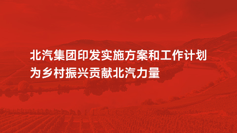 总集团印发实施方案和工作计划，为乡村振兴贡献总力量